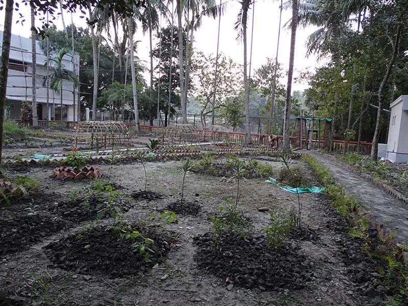 urban-gardening-3