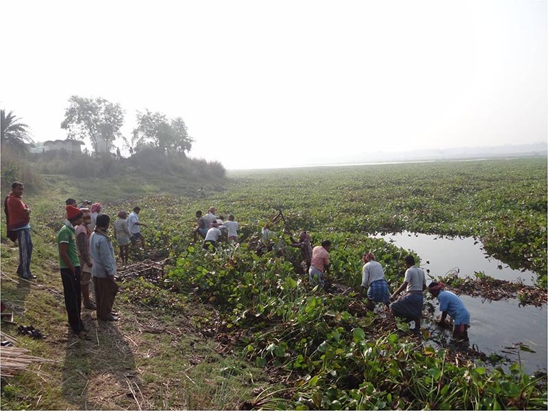 purbasthali-lake-restoration-1