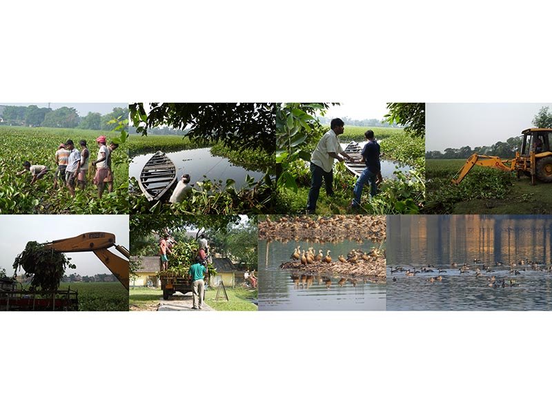 santragacchi-jheel-restoration-4