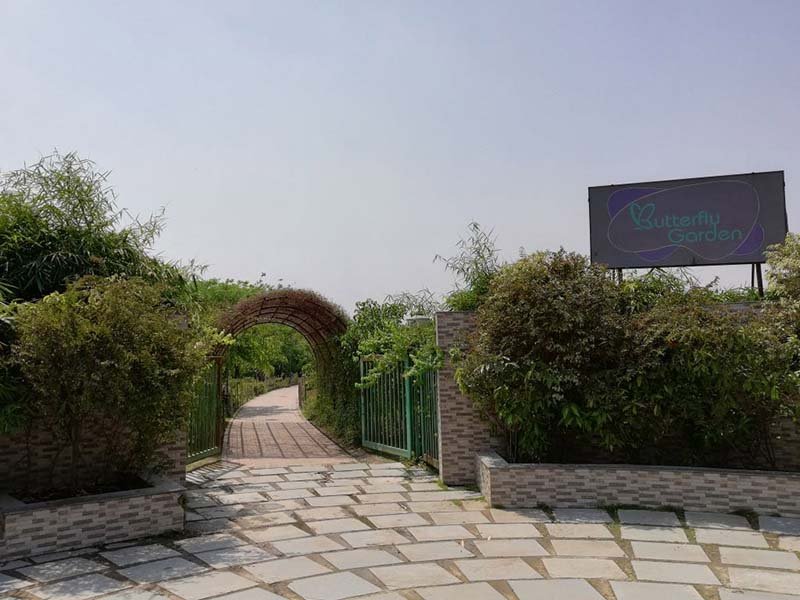 4_Ecopark-Butterfly-Garden-1