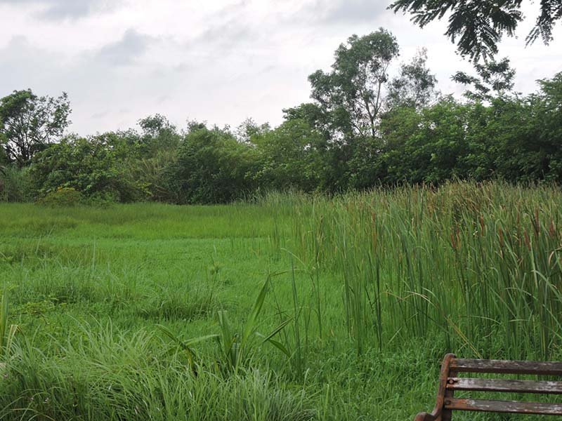 DSCN6224-1