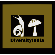 diversity-india